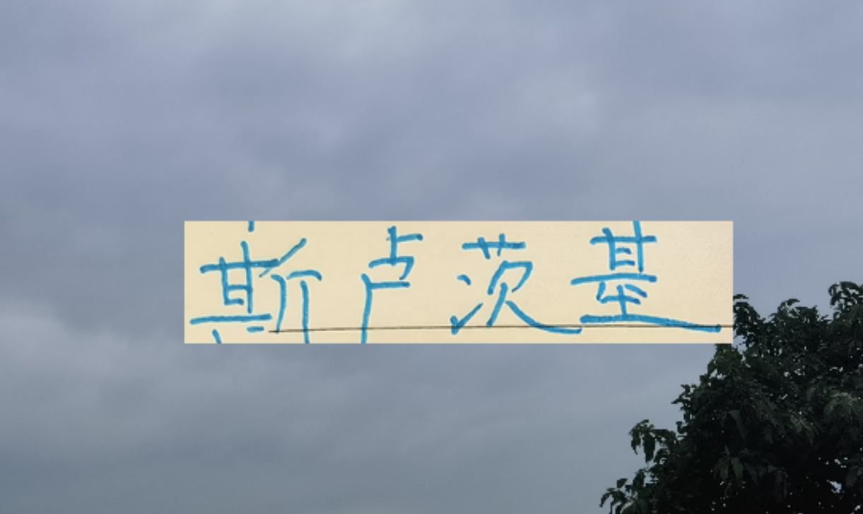 PP电子「中国」官方网站-2026赛季！申花“司机”还会三线全力以赴吗